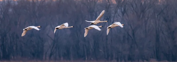 Garvey Wellness Clinic in Byram MS