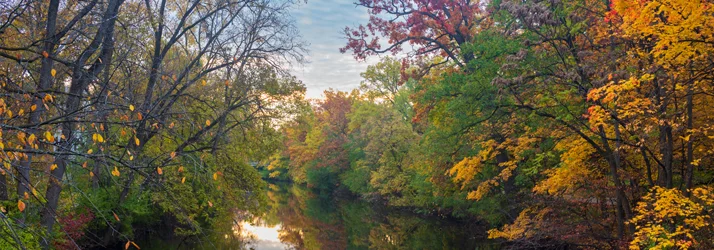 Garvey Wellness Clinic in Flowood MS