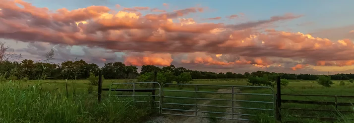 Garvey Wellness Clinic in Madison MS